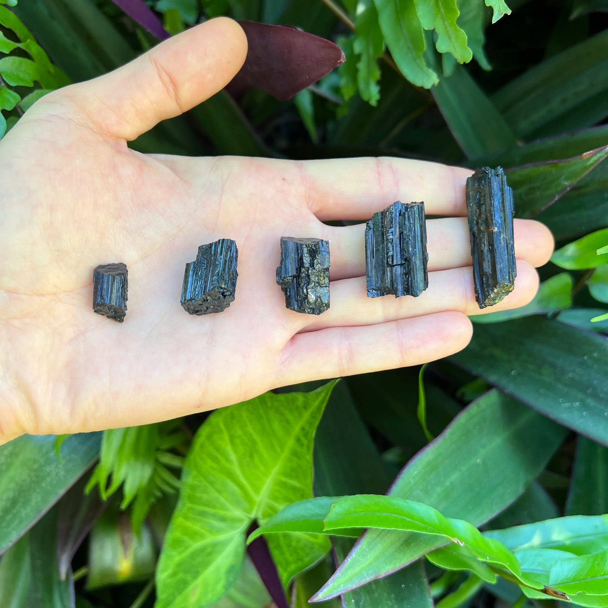 Full profile of Grade AA Black Tourmaline raw ready to ship from Beyond Bohemian