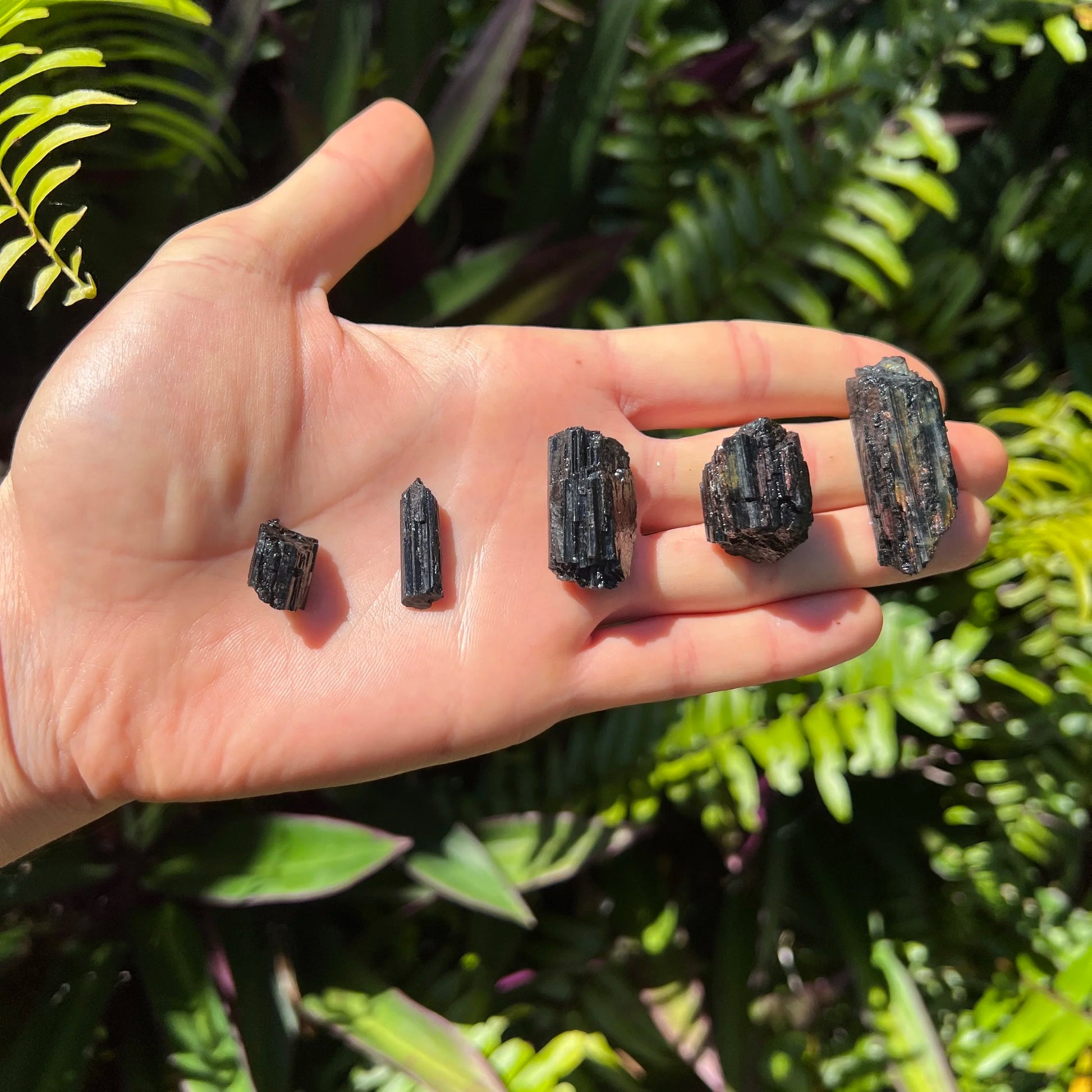 Full profile of Grade AA Black Tourmaline raw ready to ship from Beyond Bohemian