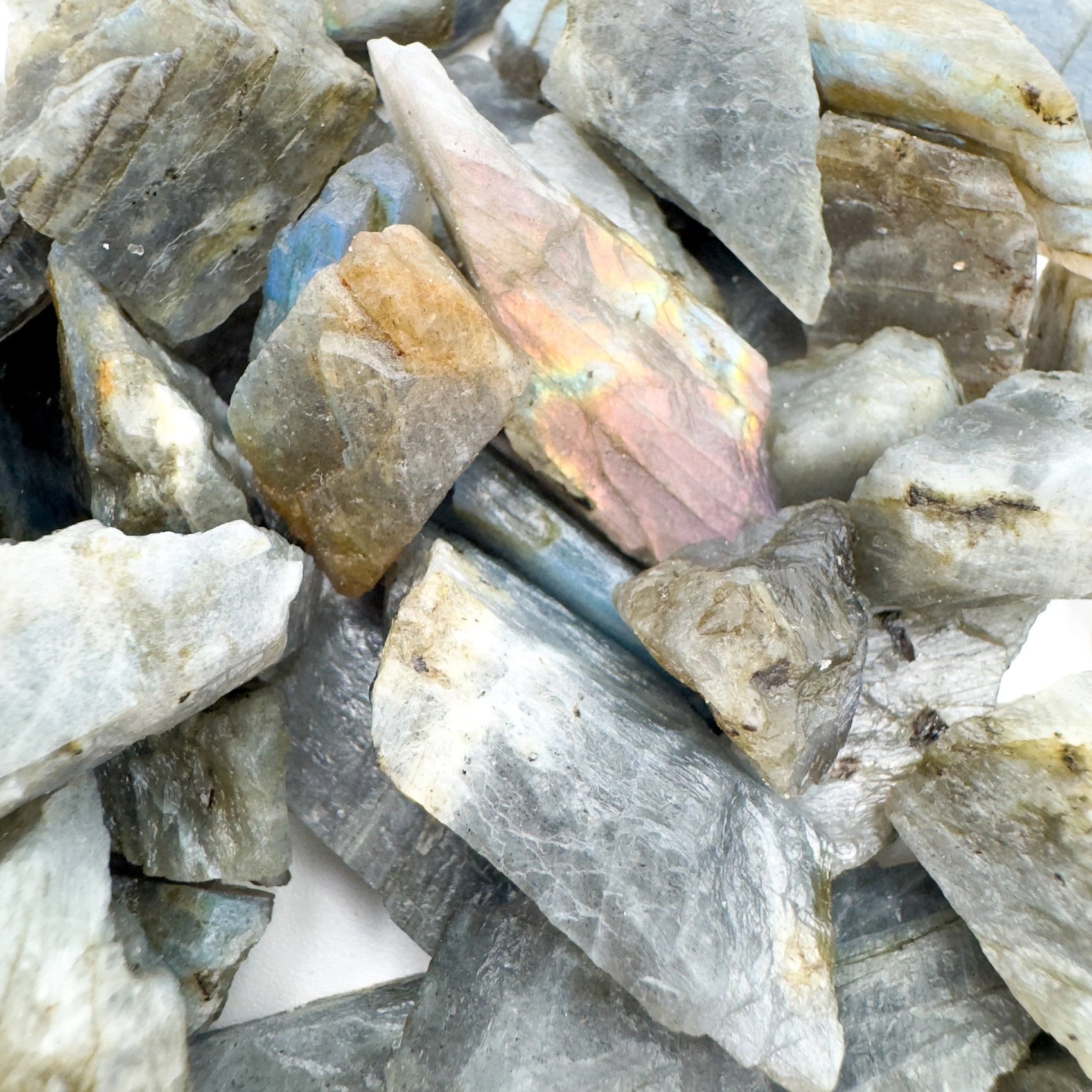 Detail shot of Grade AAA Labradorite raw under natural light