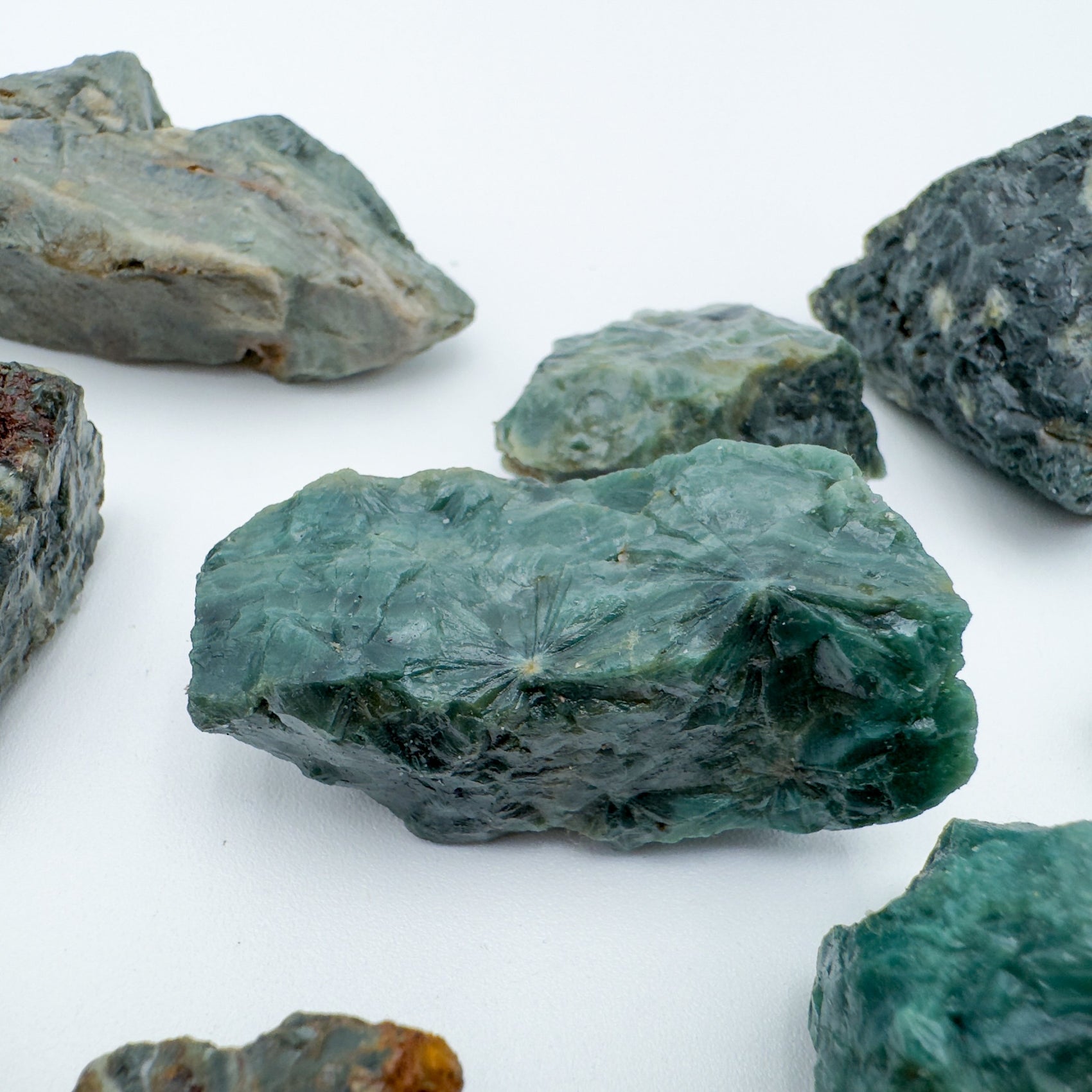 Daylight view of a single Ocean Jasper raw stone sourced from Sofia, Madagascar.