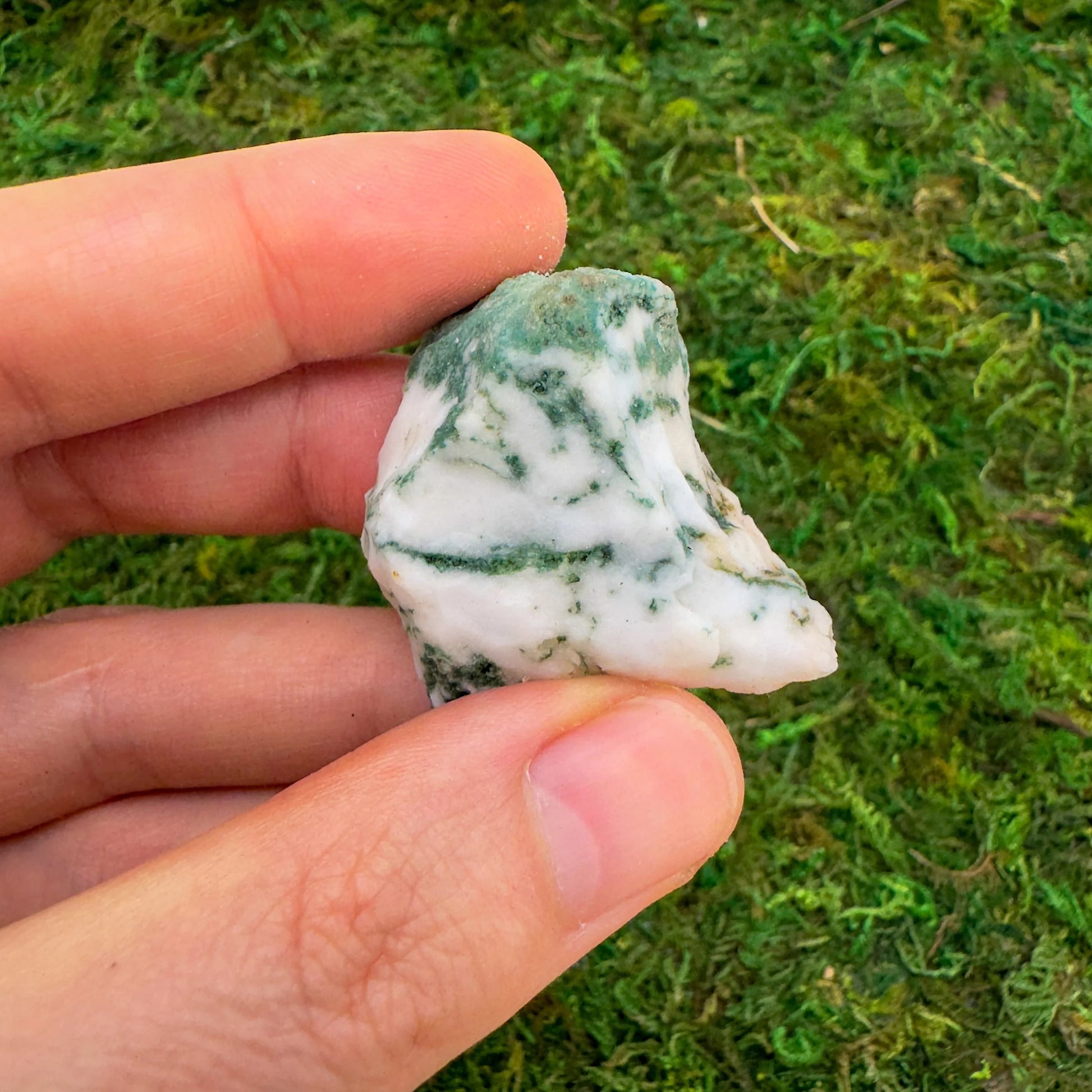 Daylight view of a Tree Agate raw stone often worked with for Healing.