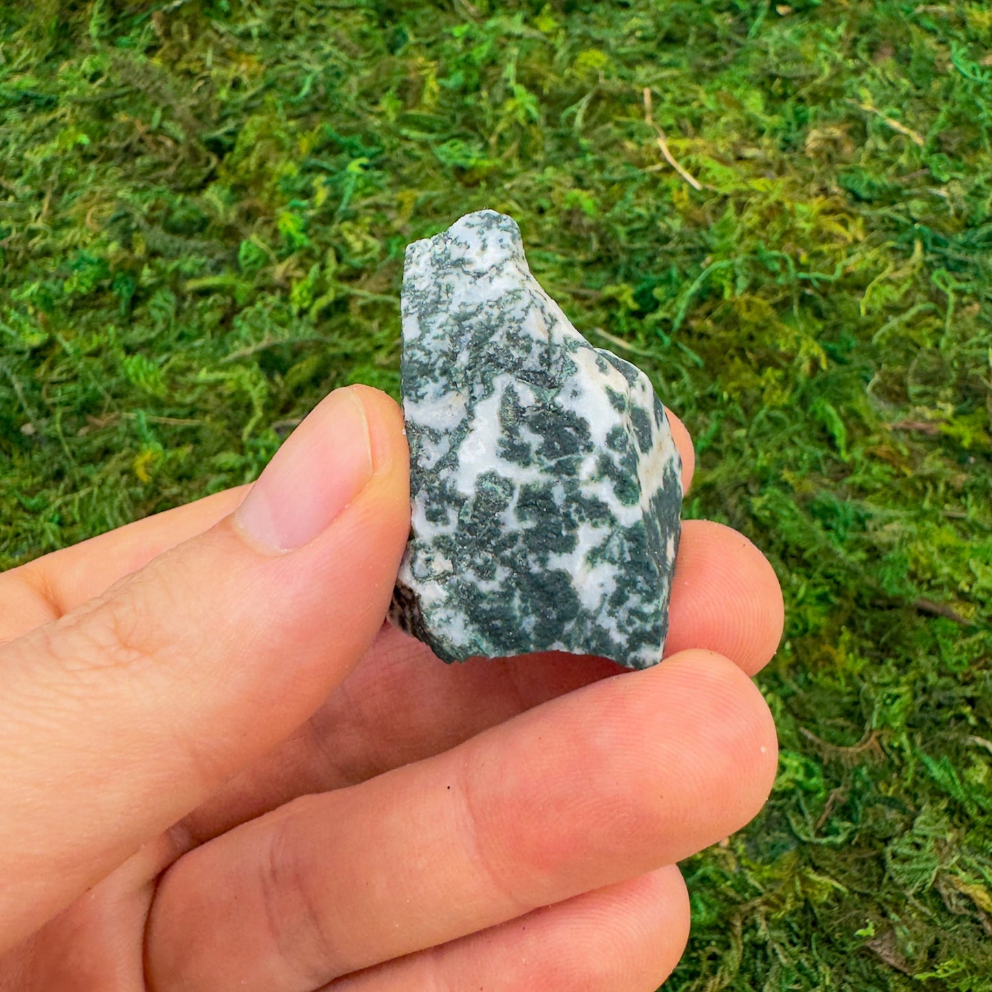 Full piece view of Tree Agate raw crystal, from Central District, Botswana, shown for proportion against the hand.