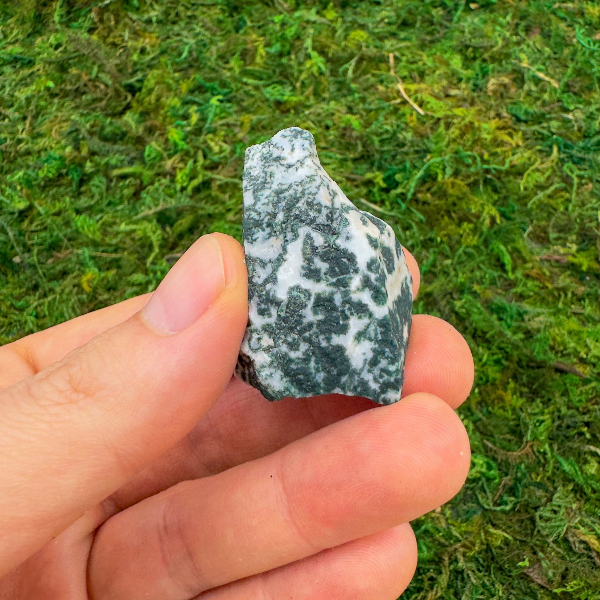 Full piece view of Tree Agate raw crystal, from Central District, Botswana, shown for proportion against the hand.
