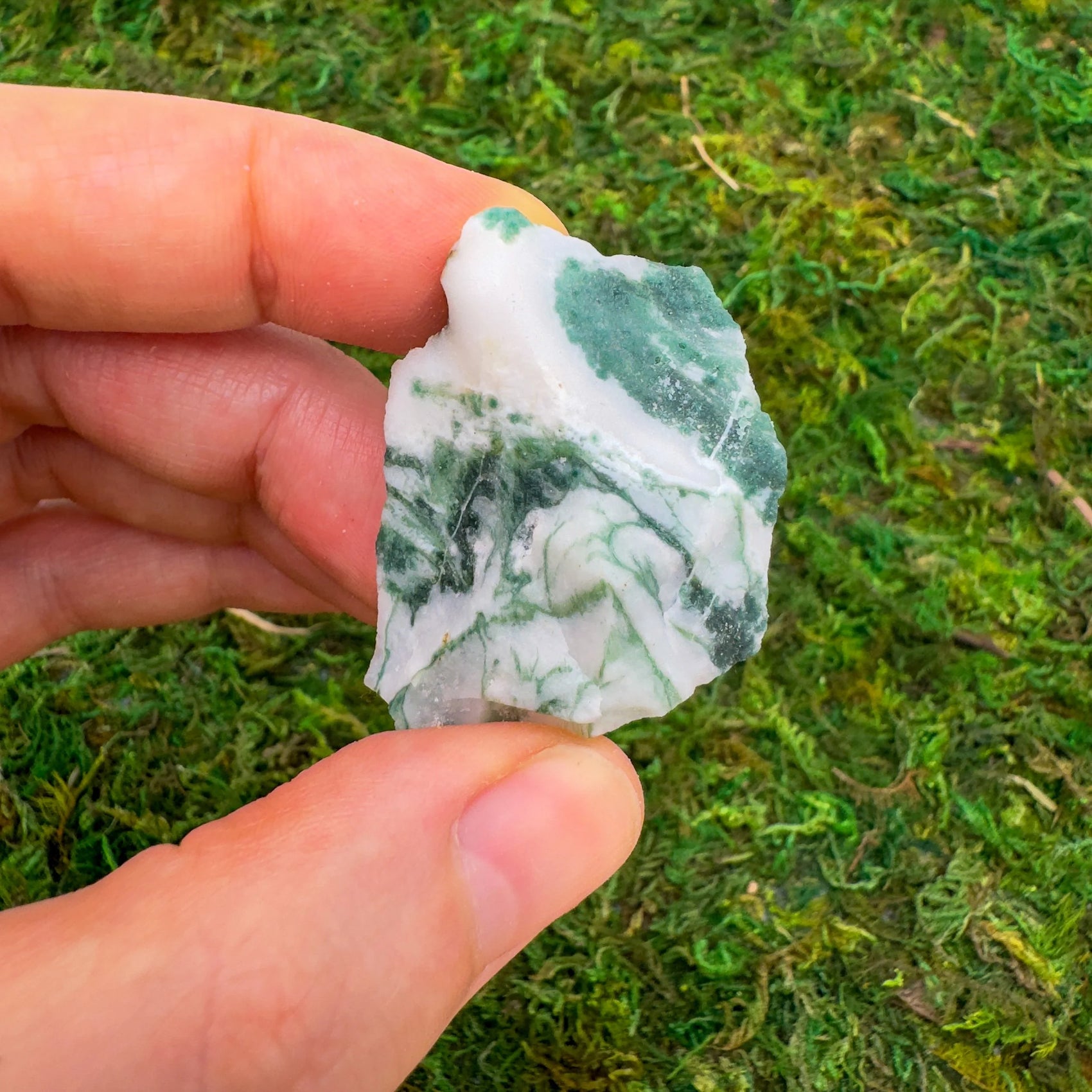 Tree Agate raw stone from Botswana with Green, White color, polished finish for mindful calm