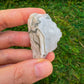 Detail shot of Grade A Tree Agate raw under natural light