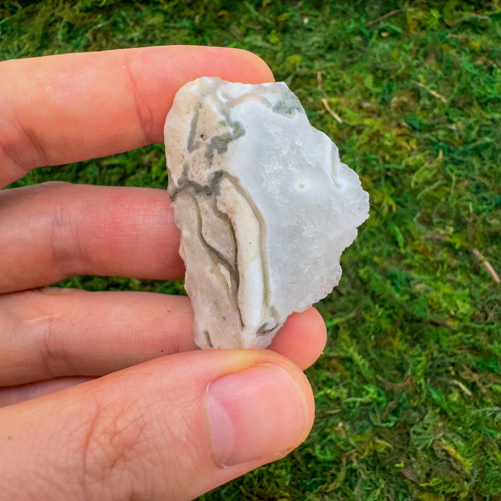 Handheld Tree Agate raw stone from Botswana for meditation, Emotional Healing and Meditation