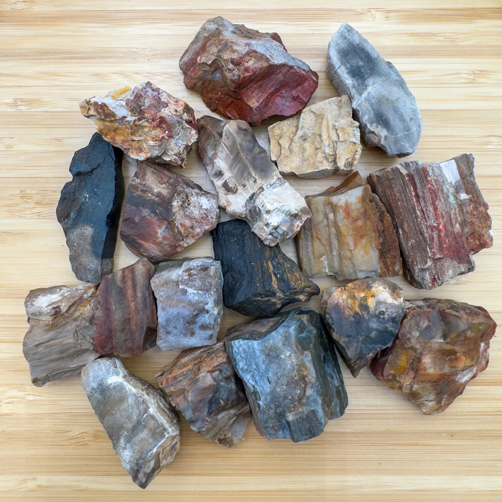Texture-level view of Petrified Wood raw stone, showing natural form.