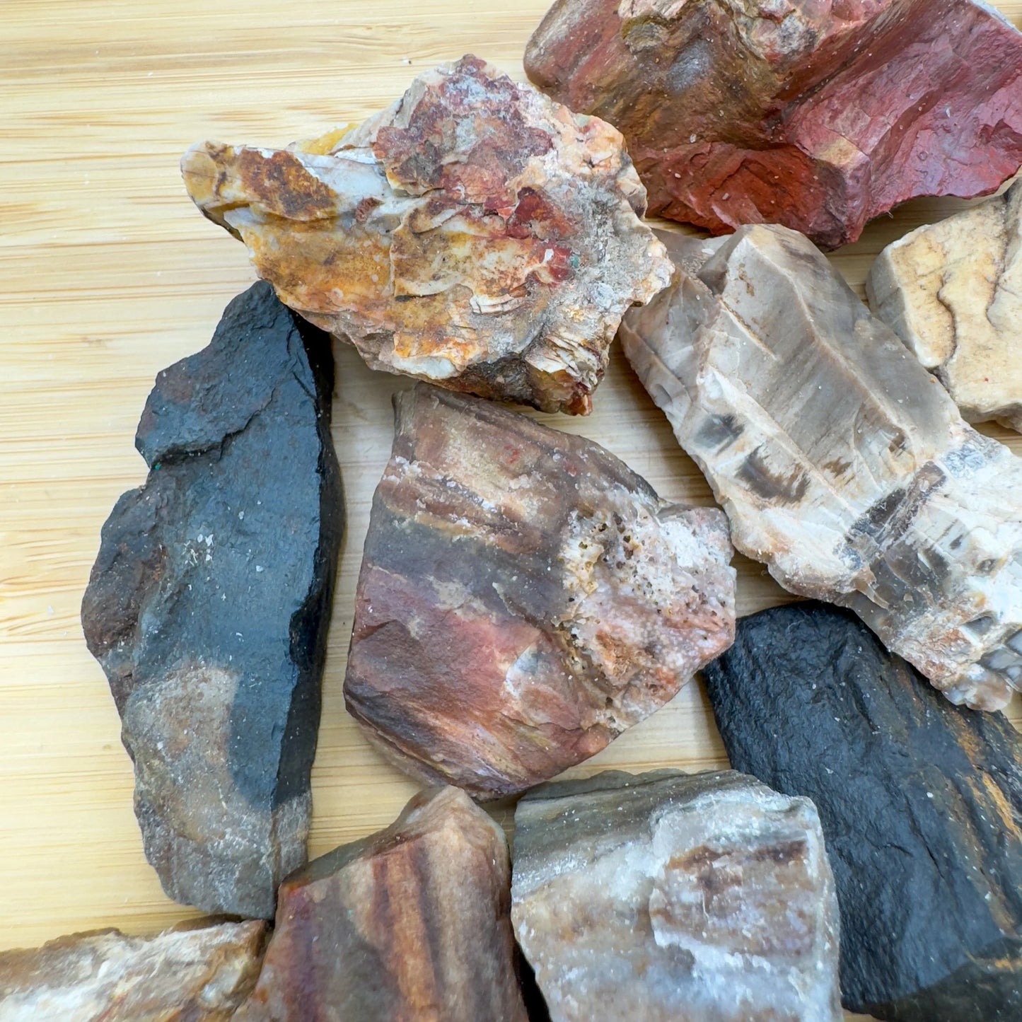 Overhead angle of Petrified Wood raw stone, Madagascar-sourced, carried for Grounding.
