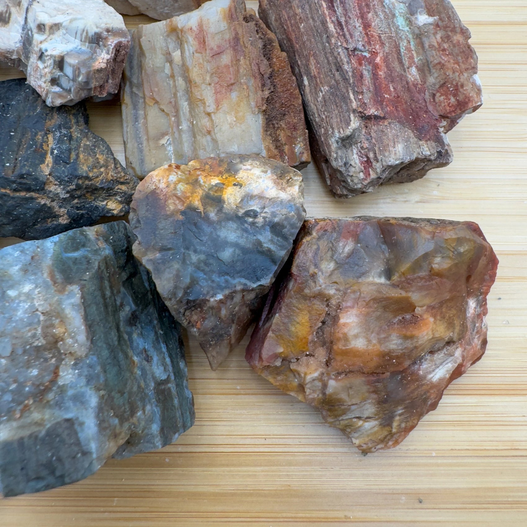 Underside view of Petrified Wood raw stone, showing natural banding, from Boeny, Madagascar.