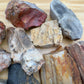 Held in hand, a Petrified Wood raw stone, sourced from Boeny, Madagascar.