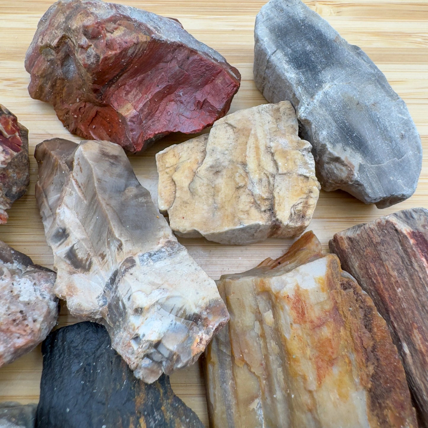 Held in hand, a Petrified Wood raw stone, sourced from Boeny, Madagascar.