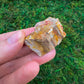 Base detail of Grade A Petrified Wood raw