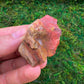 Back view of Grade A Petrified Wood raw showing natural surface