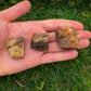 Full profile of Grade A Petrified Wood raw ready to ship from Beyond Bohemian