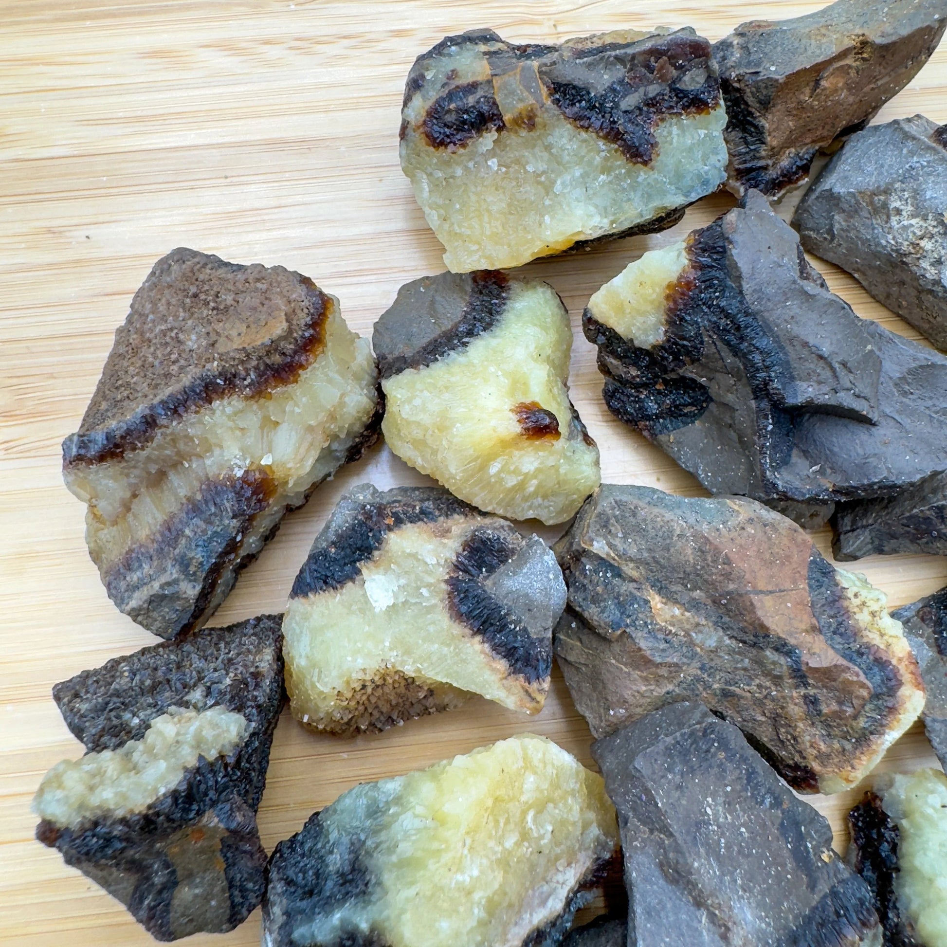 Full profile of Grade AA Septarian raw ready to ship from Beyond Bohemian