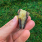 Full profile of Grade AA Septarian raw ready to ship from Beyond Bohemian