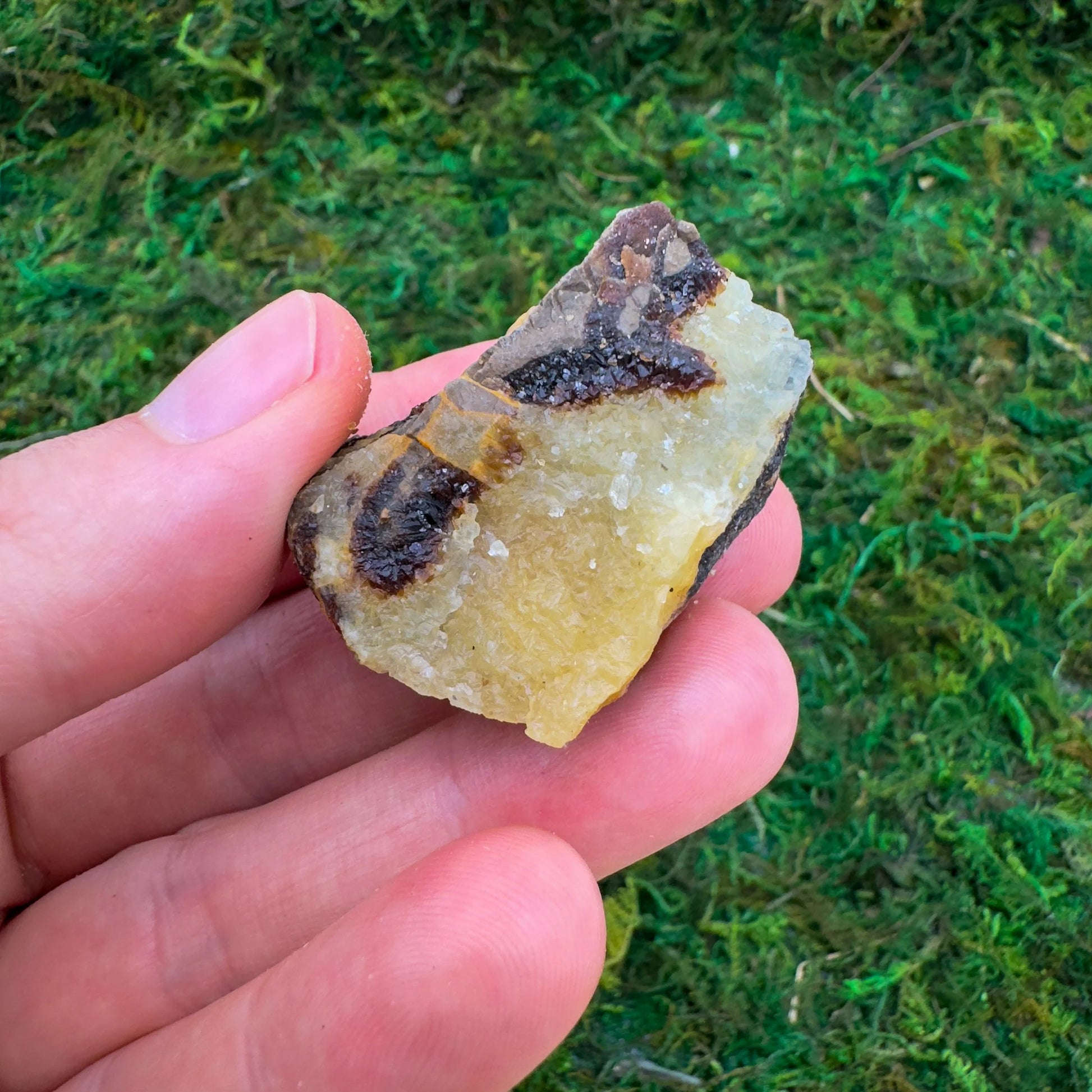 Full profile of Grade AA Septarian raw ready to ship from Beyond Bohemian