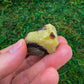 Full profile of Grade AA Septarian raw ready to ship from Beyond Bohemian