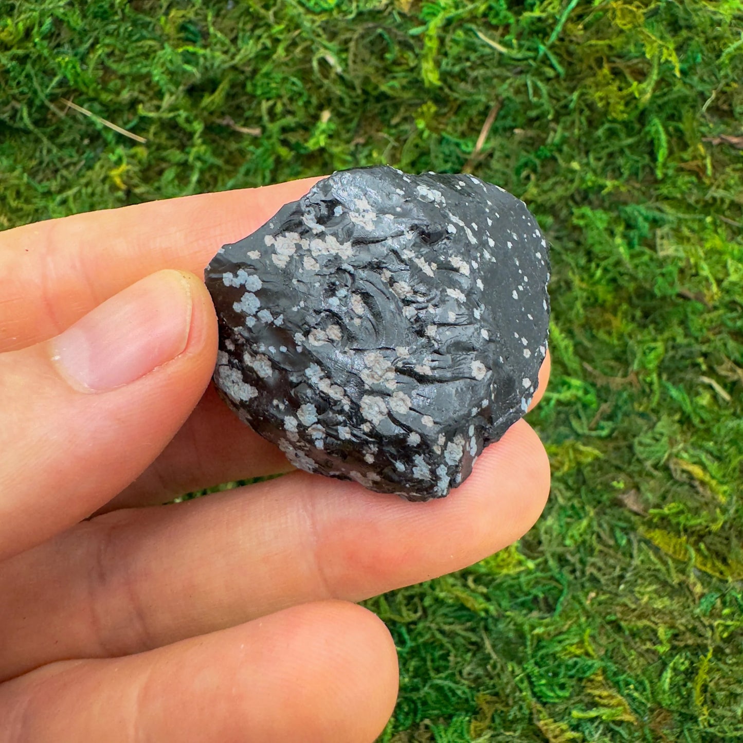 Full profile of Grade AA Snowflake Obsidian raw ready to ship from Beyond Bohemian