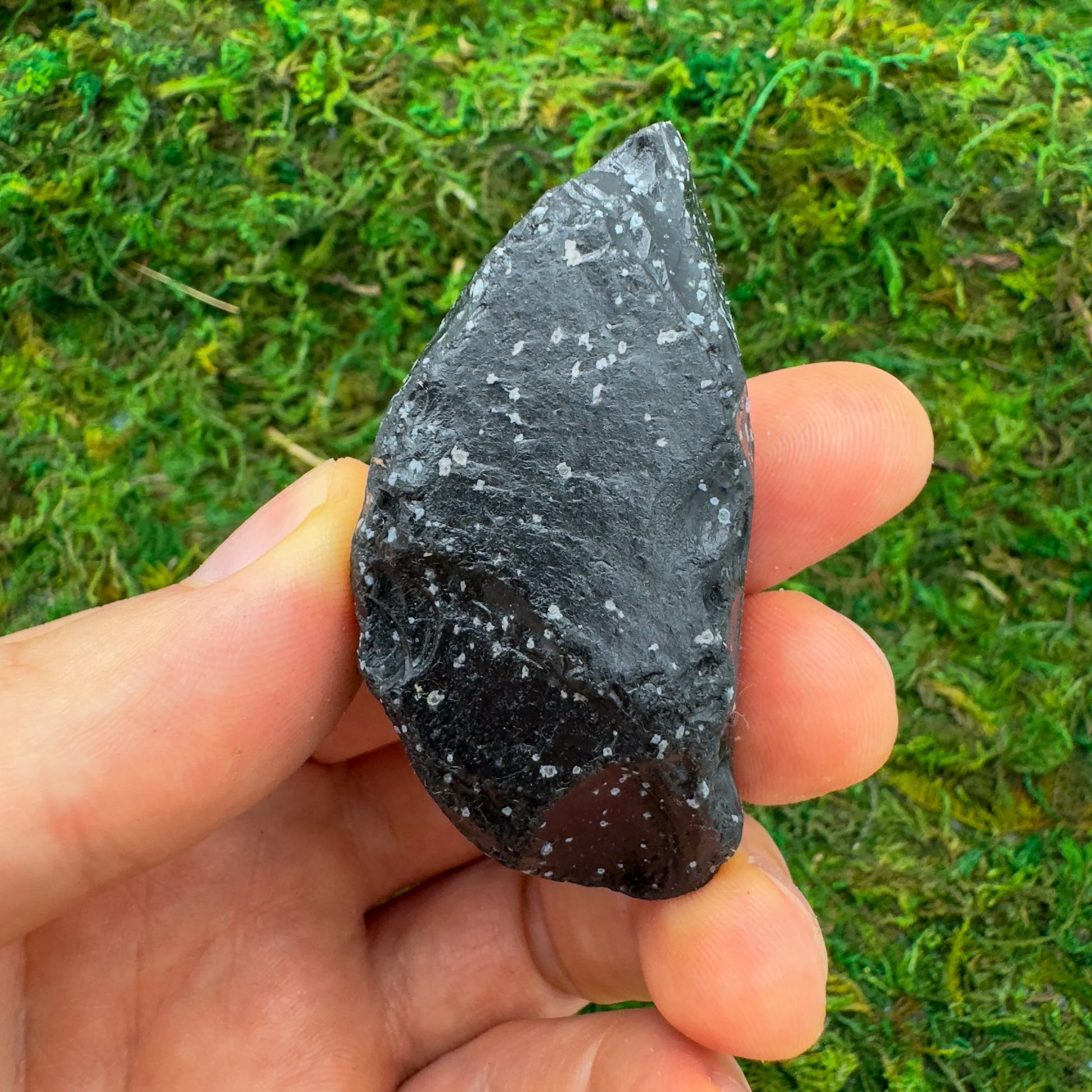 Full profile of Grade AA Snowflake Obsidian raw ready to ship from Beyond Bohemian