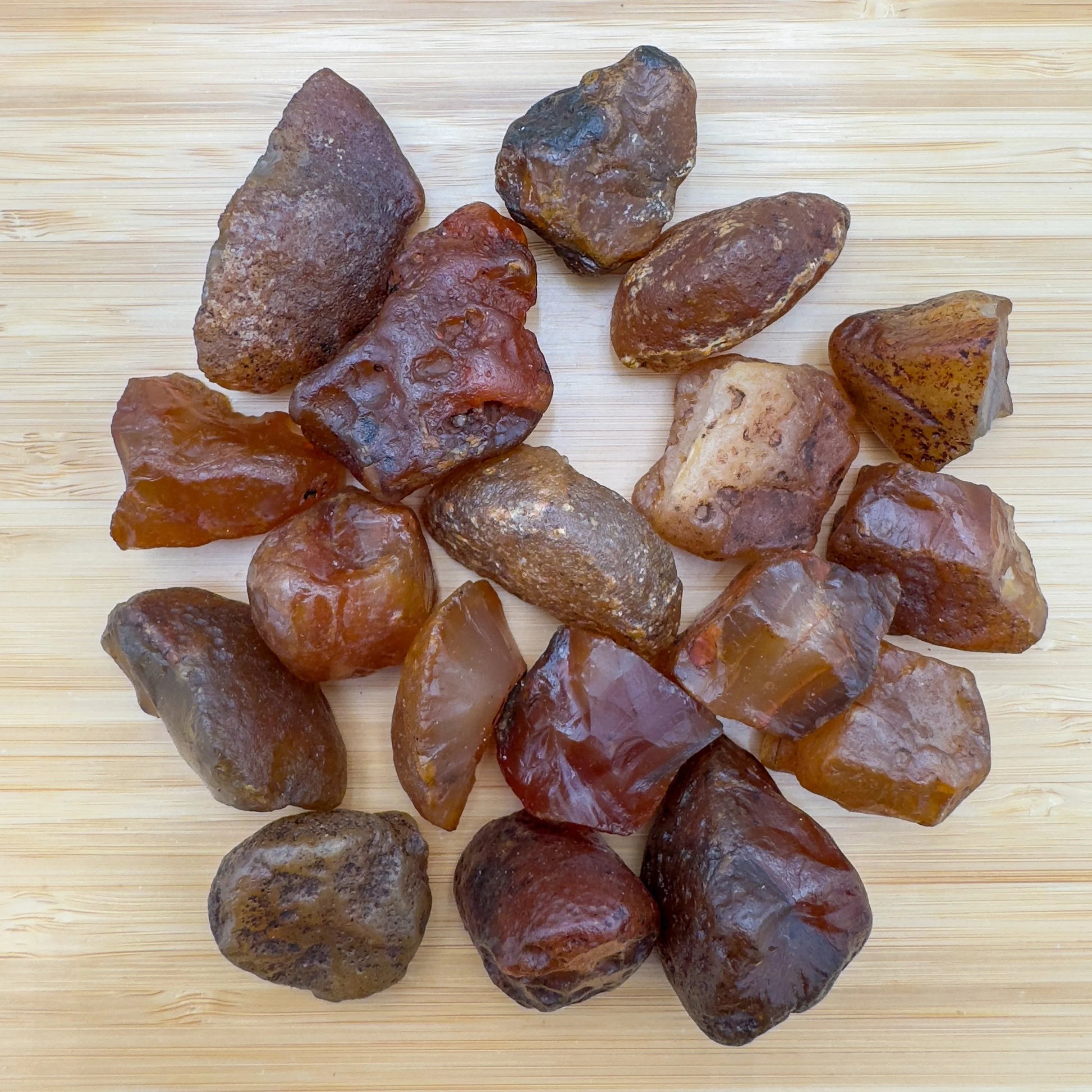 Grade a carnelian raw held in hand for size reference