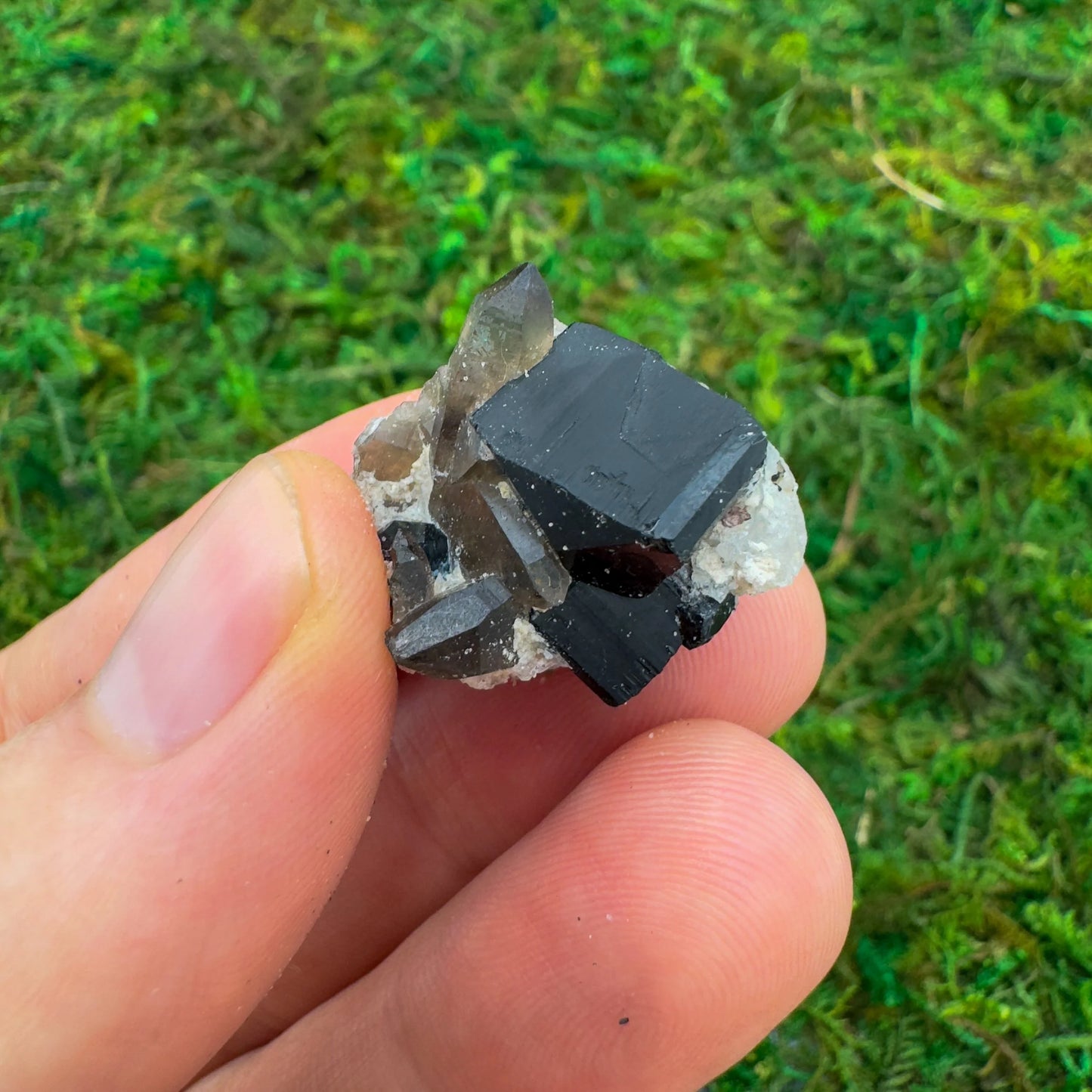 Grade aa black tourmaline raw held in hand for size reference