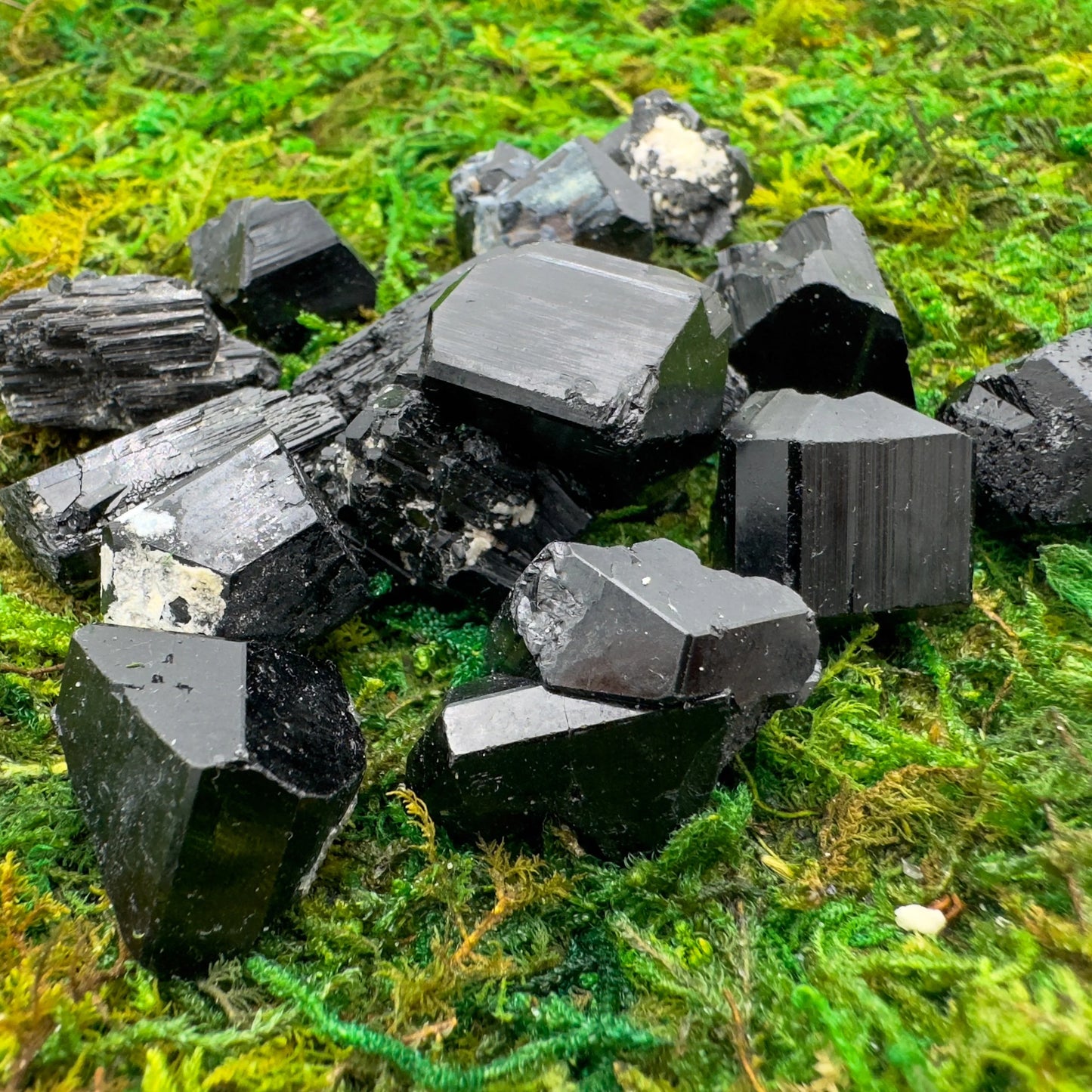 Size comparison with one Black Tourmaline raw stone for scale, from Namibia.