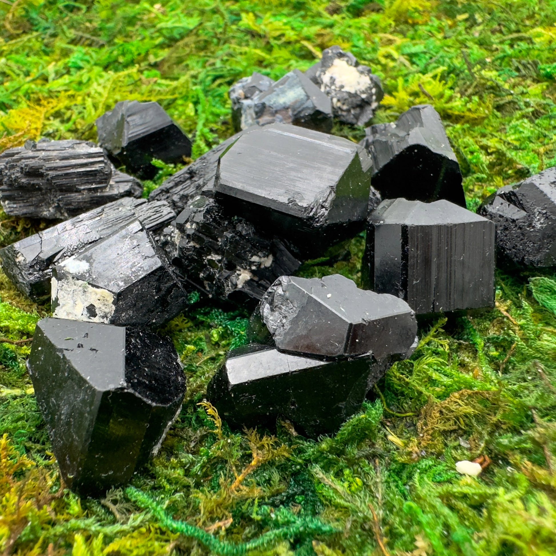 Size comparison with one Black Tourmaline raw stone for scale, from Namibia.