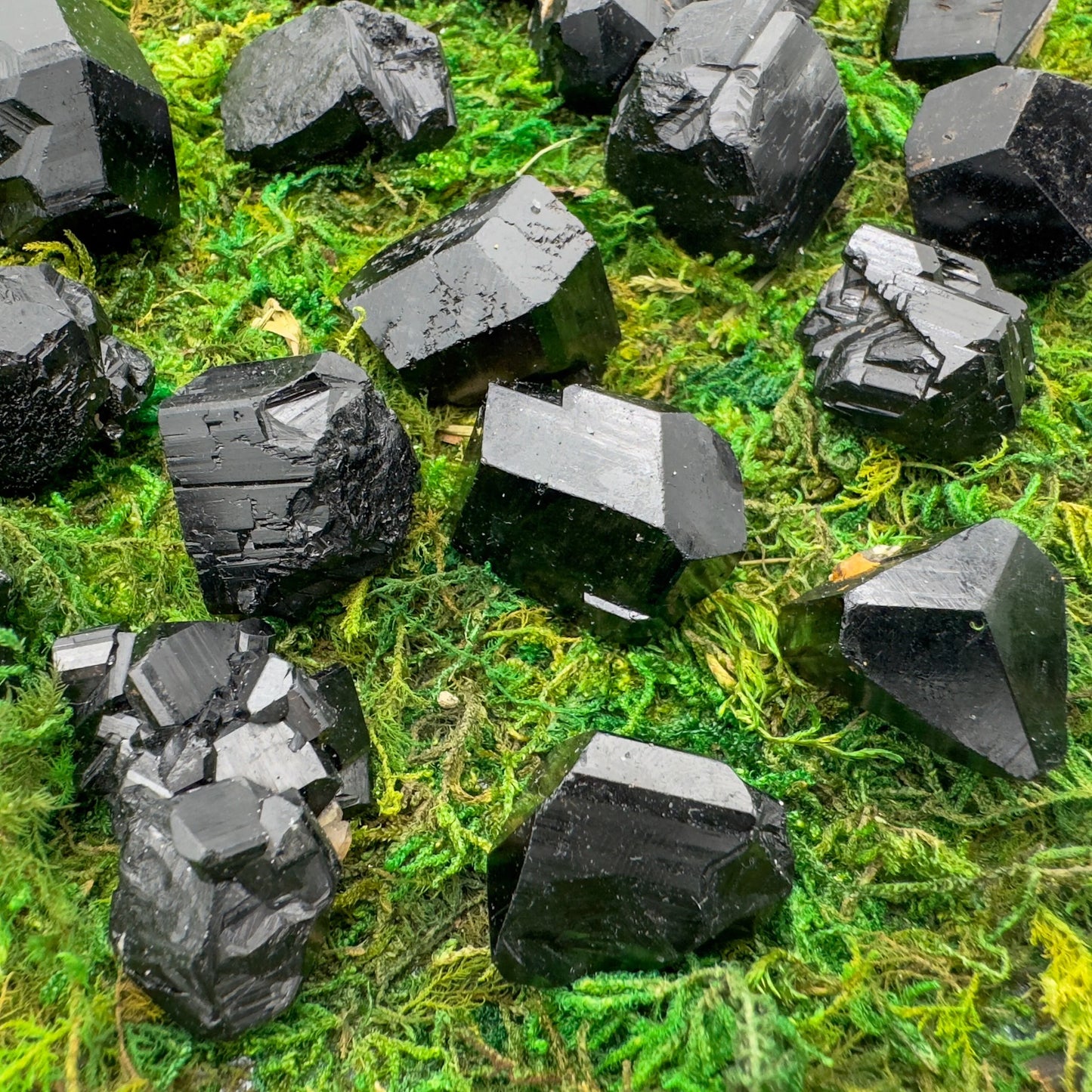 Hand-scale shot of a Black Tourmaline raw stone held against natural backdrop.