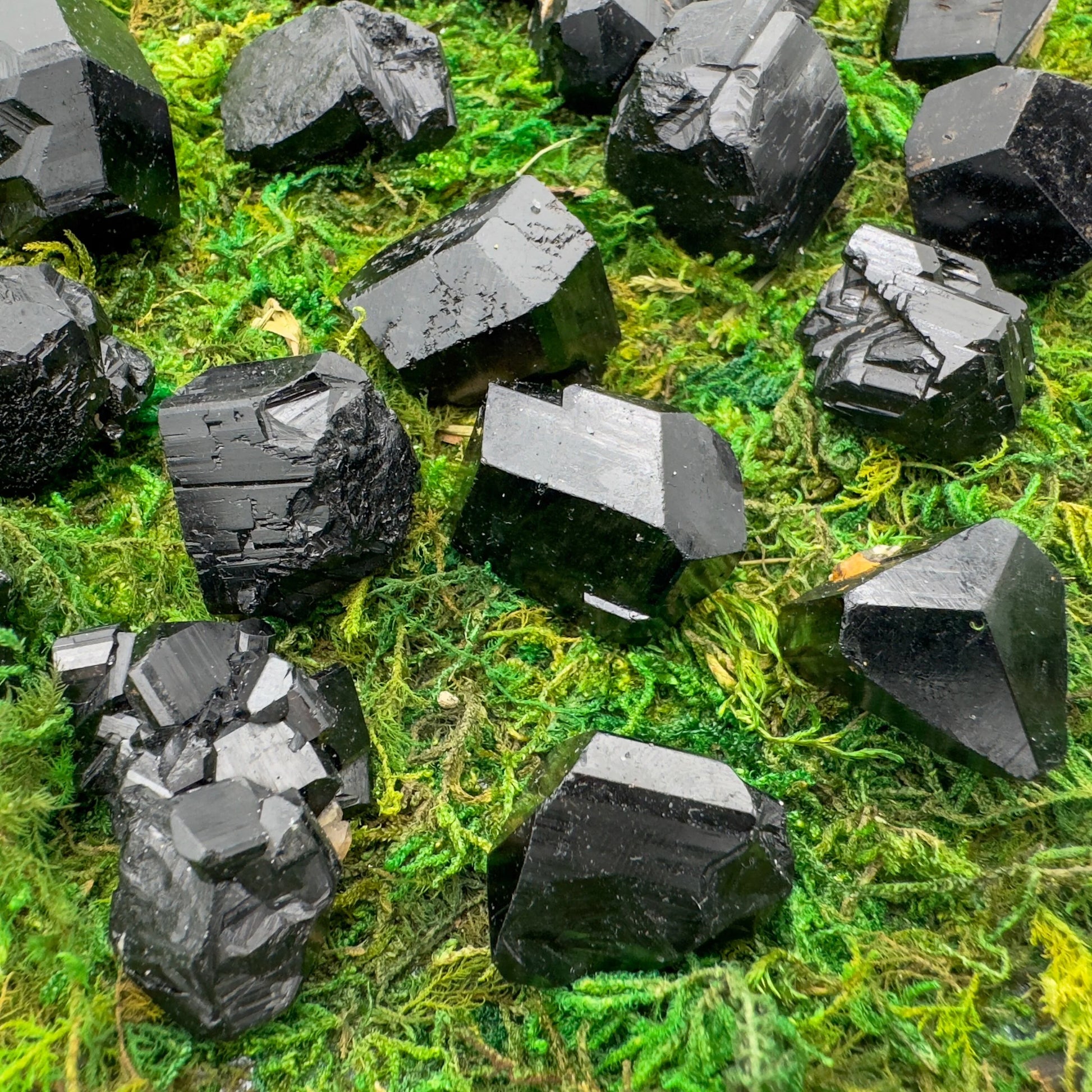 Hand-scale shot of a Black Tourmaline raw stone held against natural backdrop.