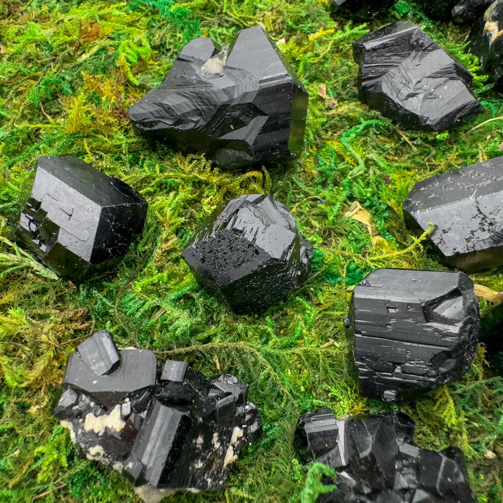 Grade aa black tourmaline raw held in hand for size reference