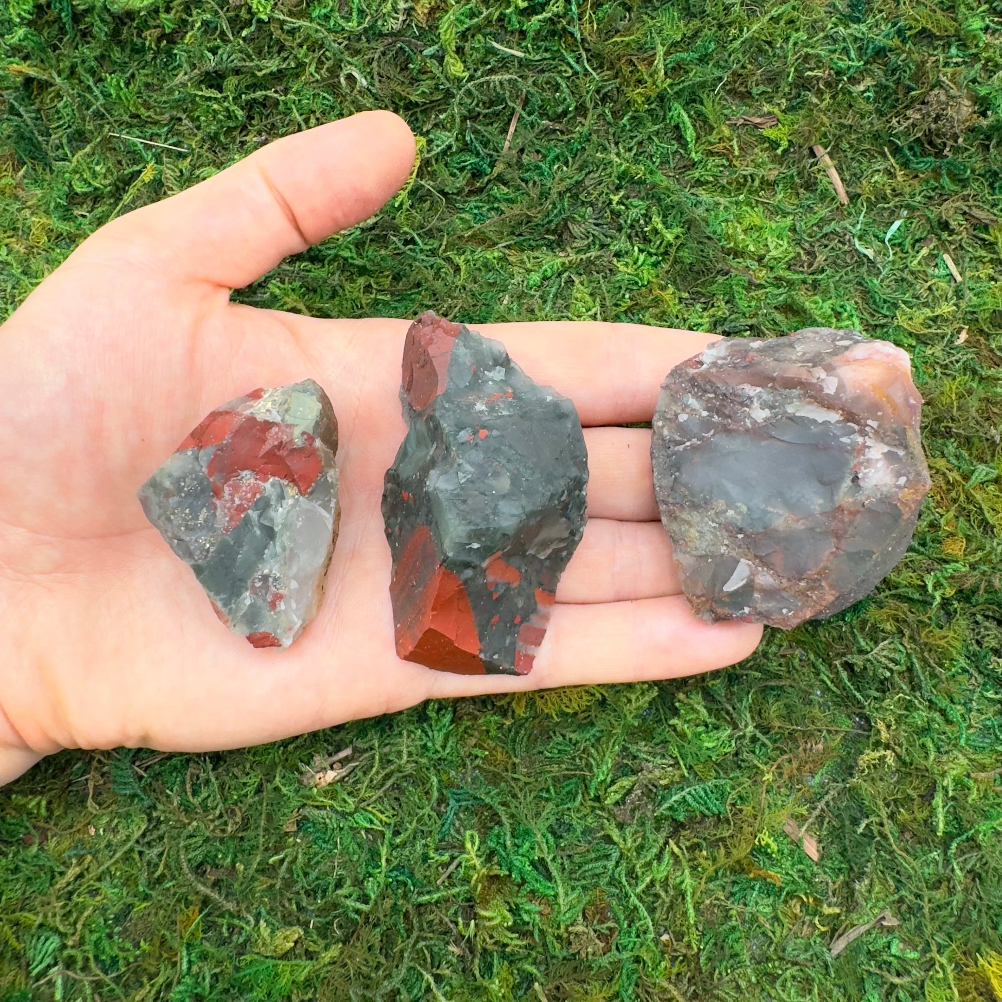 Detail shot of Grade AA Bloodstone raw under natural light
