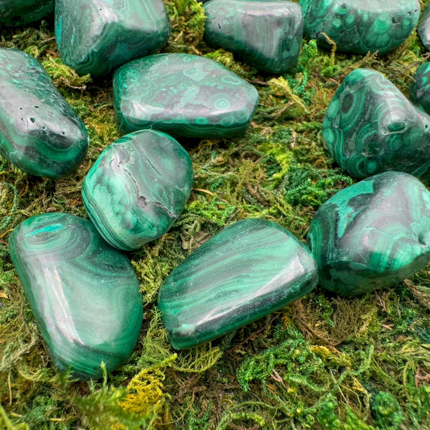 Full profile of Grade AA Malachite tumbled stone ready to ship from Beyond Bohemian