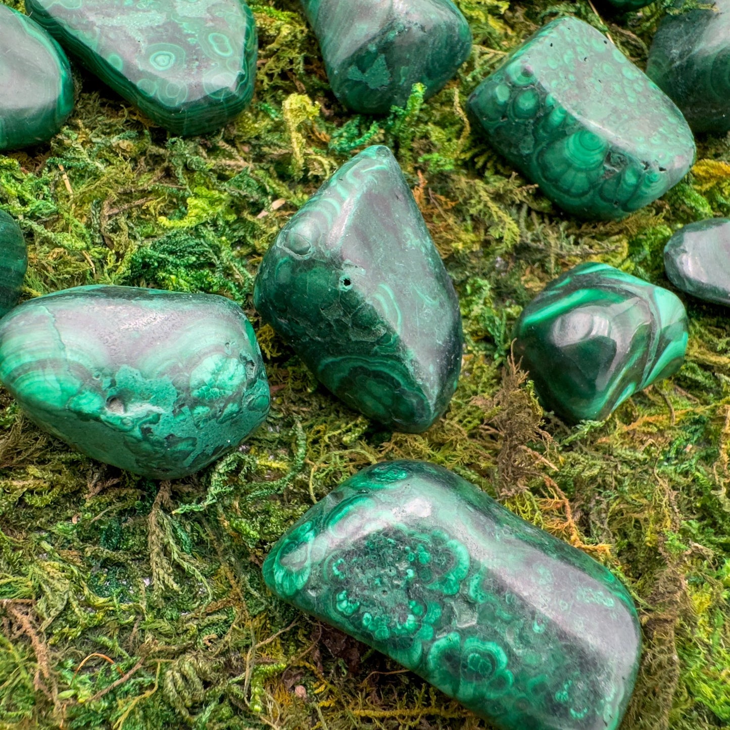 Full profile of Grade AA Malachite tumbled stone ready to ship from Beyond Bohemian