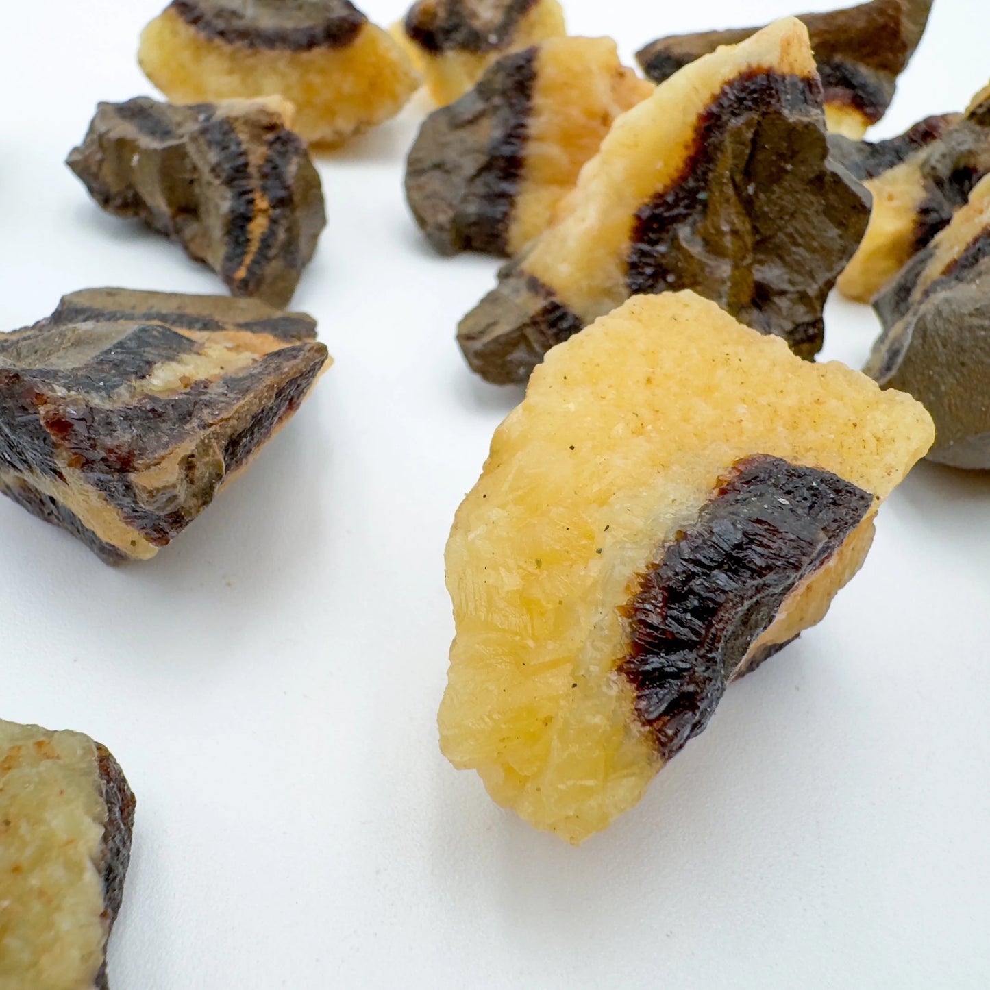 Natural light view of a single Septarian raw stone from Madagascar.