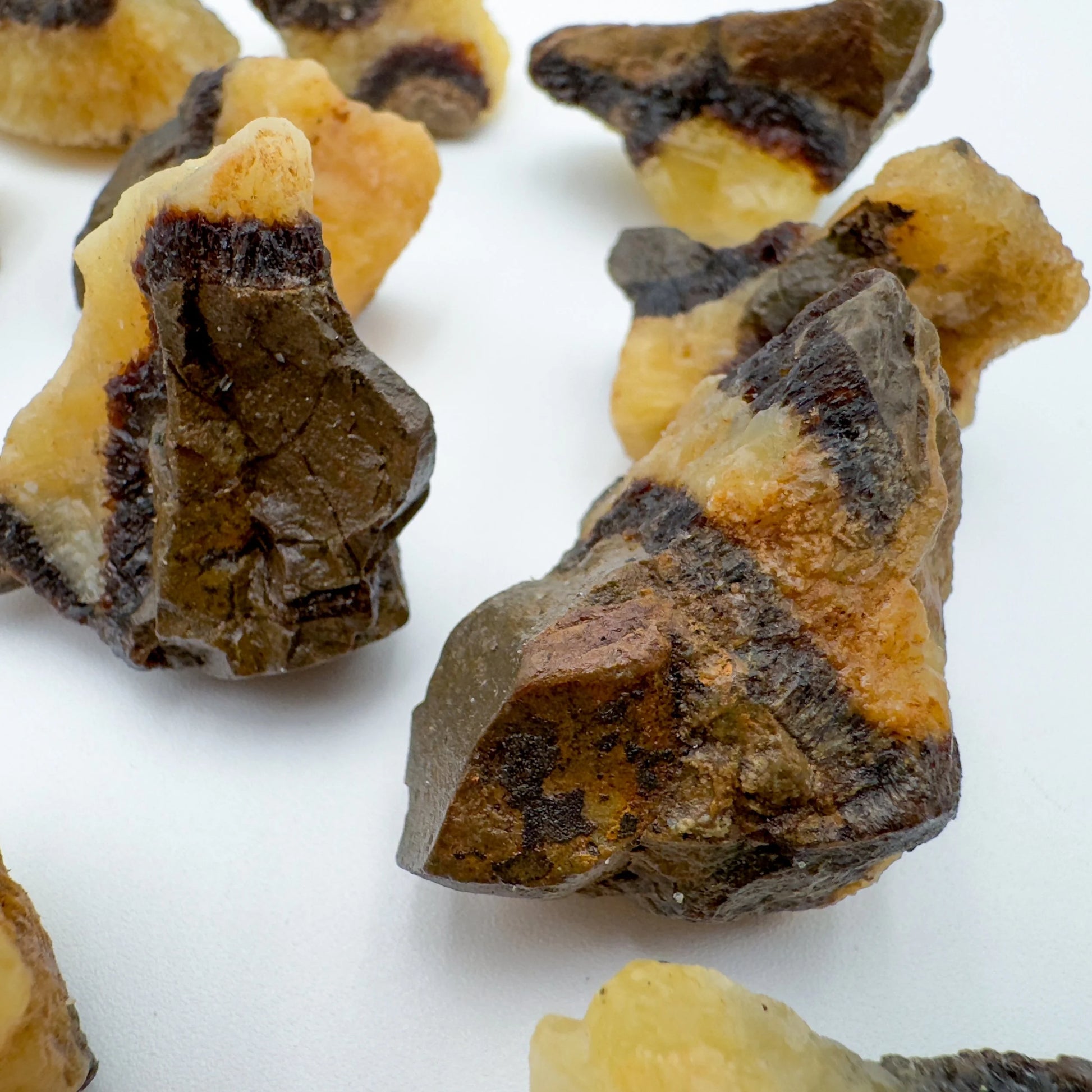 Rear view of Septarian raw stone, showing raw matrix.