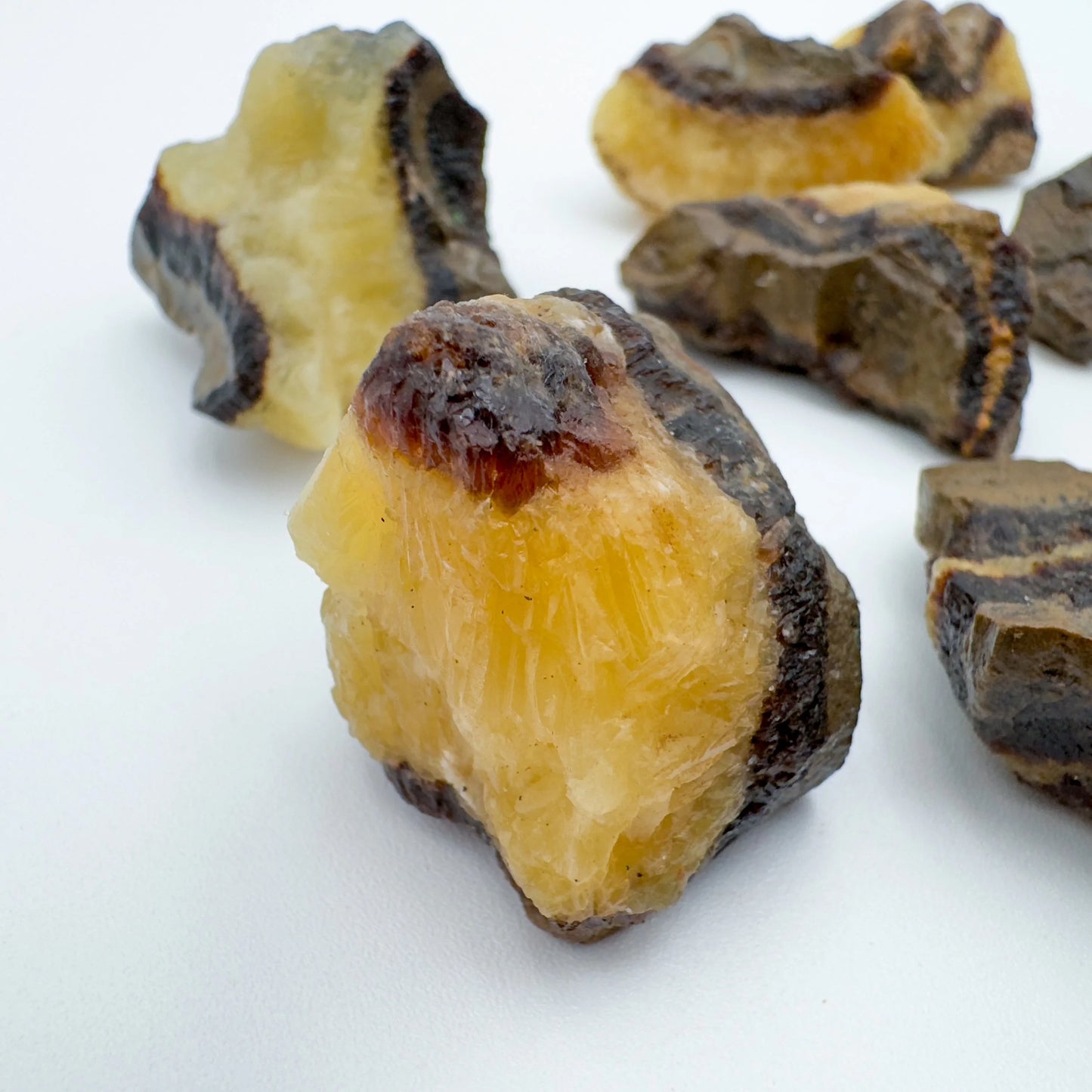 Edge-on view of Septarian raw stone, sourced from Madagascar.