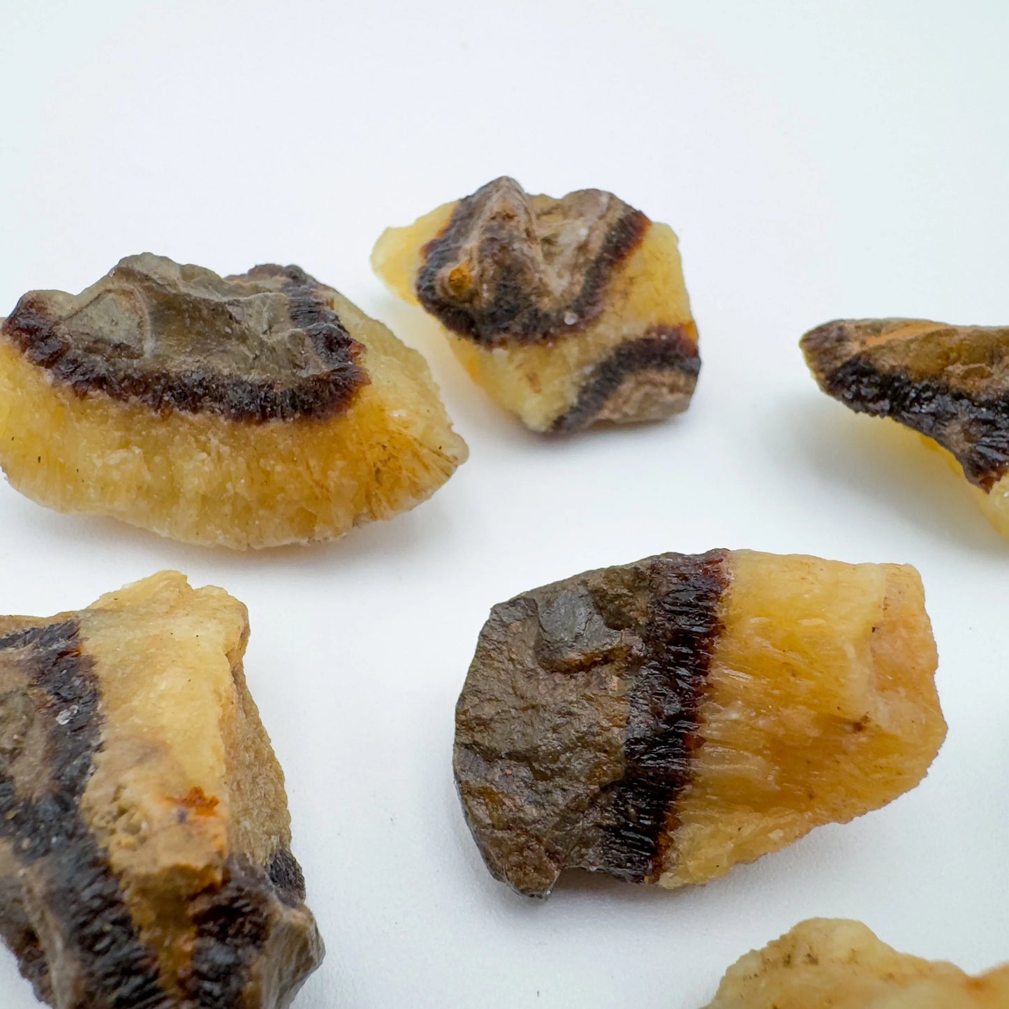 Plan view of Septarian raw stone, Madagascar-sourced, for Grounding and Confidence.
