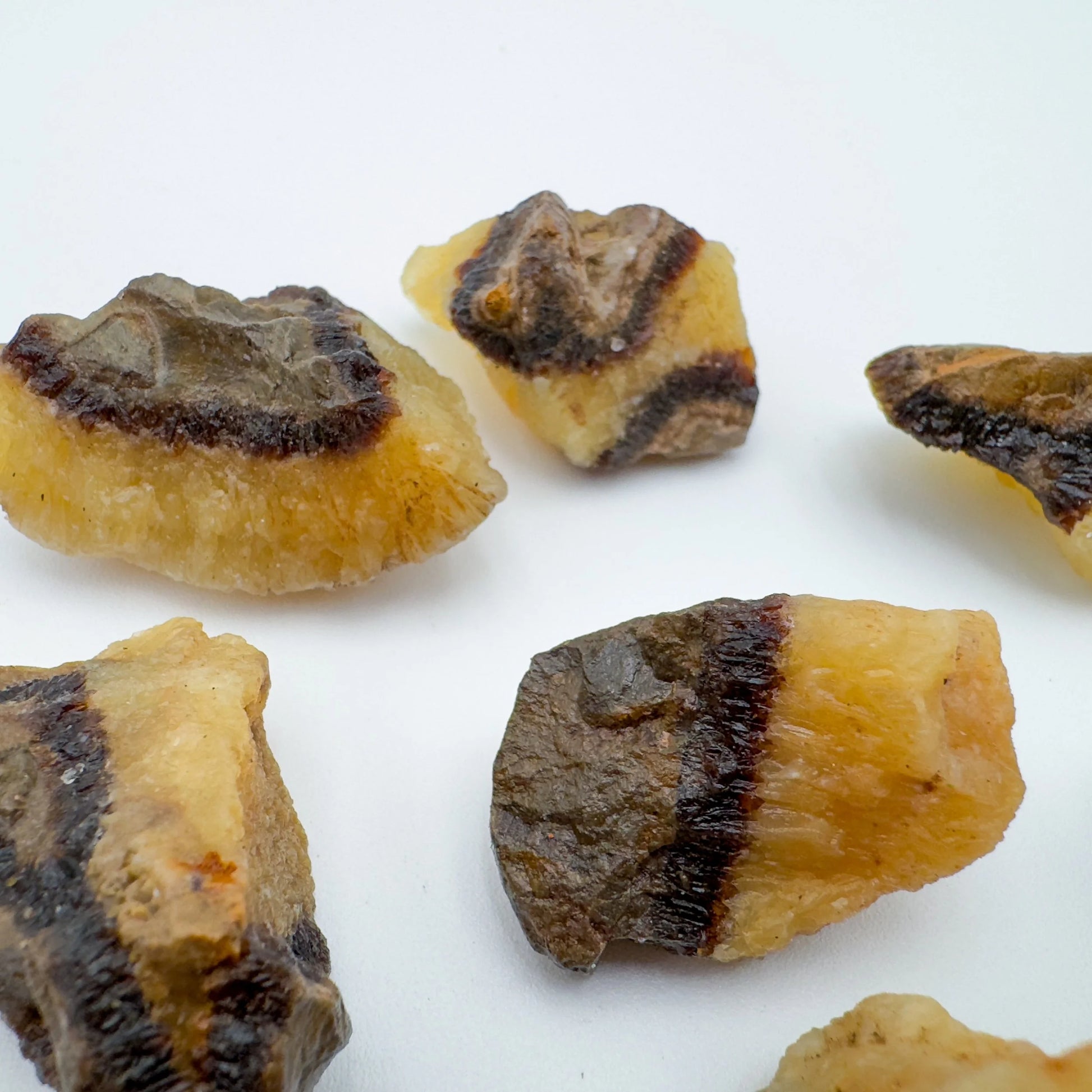 Plan view of Septarian raw stone, Madagascar-sourced, for Grounding and Confidence.