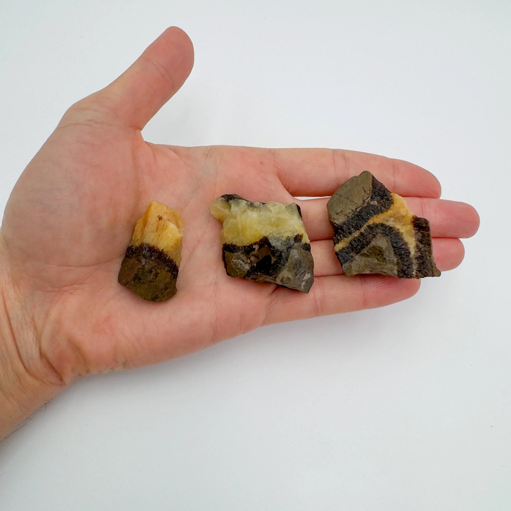 Considered view of Septarian raw crystal, from Mahajanga, Madagascar, showing the full body of the piece.