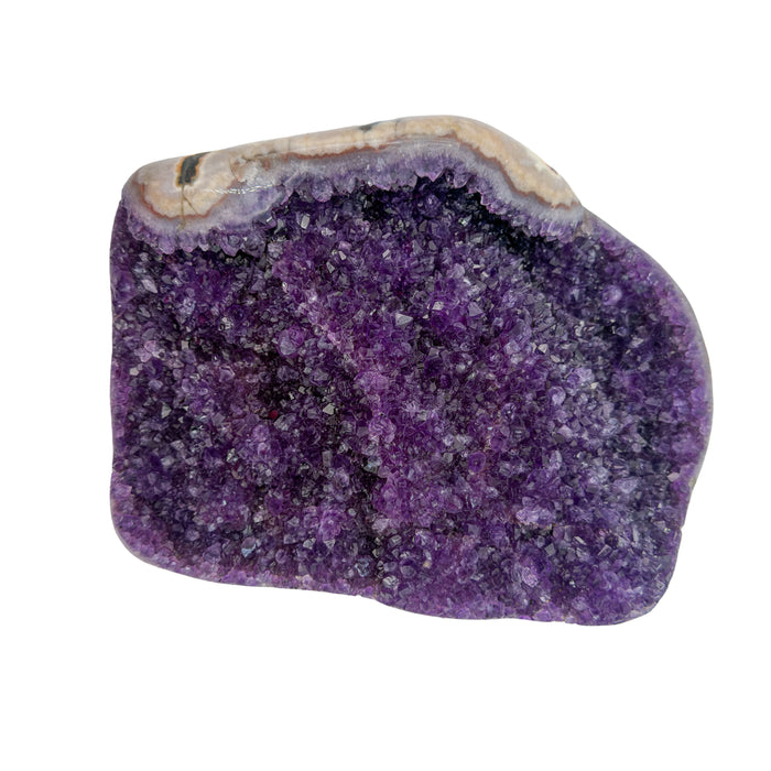 AA grade amethyst polished geode from Artigas, Uruguay, wide flat slab, rich violet druzy over a broad open face, 10.03 x 7.61 x 2.09 in, 7.21 pounds.