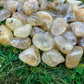 Detail shot showing Grade AAA Quartz tumbled stone, often kept for Cleansing and Meditation, showing natural variation.