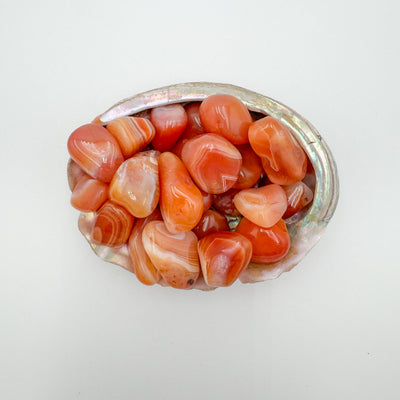 Ethically sourced Grade AA Carnelian tumbled stone from Francistown, Botswana at Beyond Bohemian