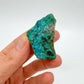 Held in hand, a single Chrysocolla raw stone sourced from Kunene, Namibia.