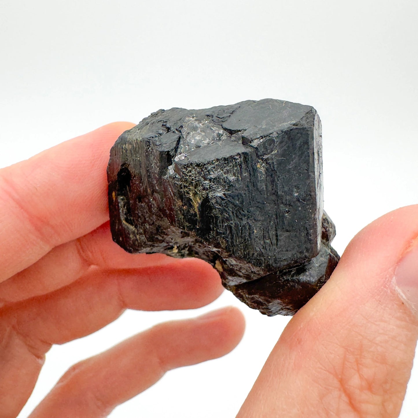 Grade aa black tourmaline raw held in hand for size reference