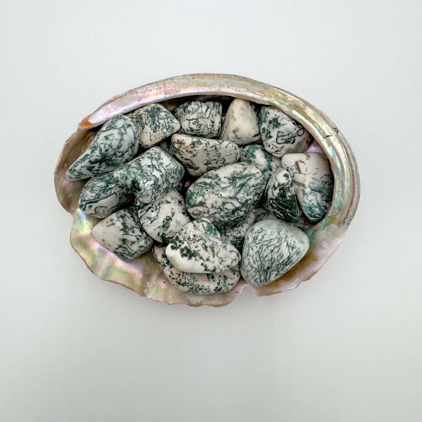 Close-up of green Tree Agate tumbled stone, hand-selected from Francistown, Botswana.