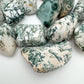 Hand-scale shot of a Tree Agate tumbled stone held against natural backdrop.