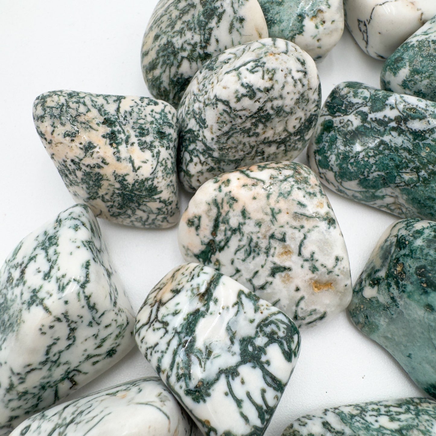 Side-on view of Tree Agate tumbled stone, sourced from Francistown, Botswana.