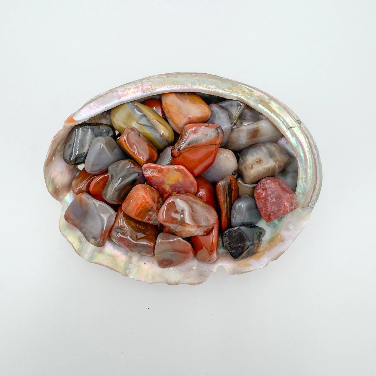 Near view of Petrified Wood tumbled stone, sourced from Mahajanga, Madagascar, often kept for Grounding.