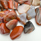 Edge-on view of Grade AA Petrified Wood tumbled stone, showing natural inclusions.